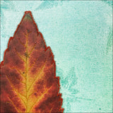 Original Artwork: Glory XVII one red leaf