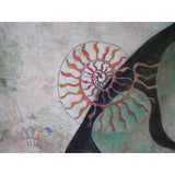 Ammonite Dream